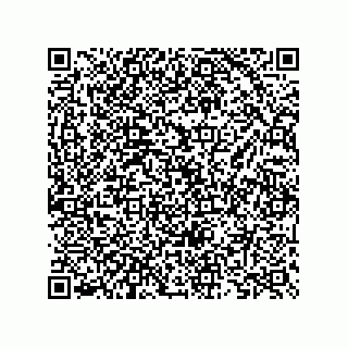 vCard 73825733467