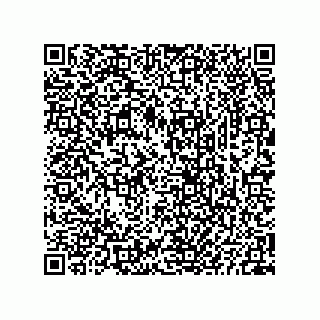 vCard 73825733479
