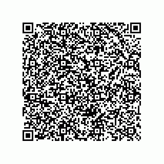 vCard 73825734279