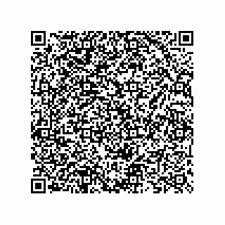 vCard 73825735279