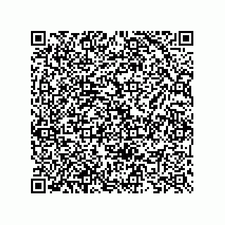 vCard 73825735381