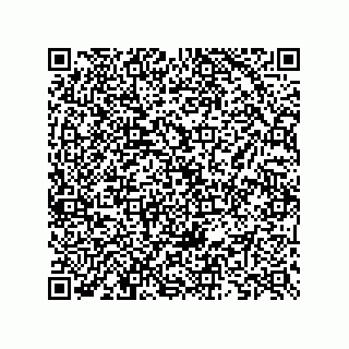 vCard 73825745217