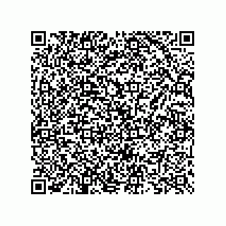 vCard 73825745271