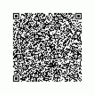vCard 73825745381