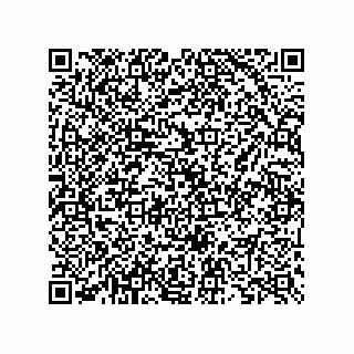 vCard 73825745384