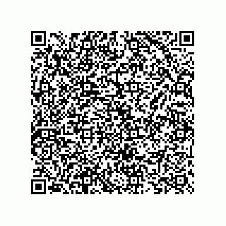 vCard 73825746281