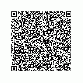 vCard 73825836288