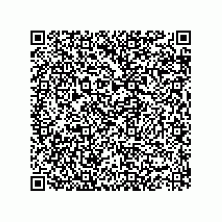 vCard 73825920013