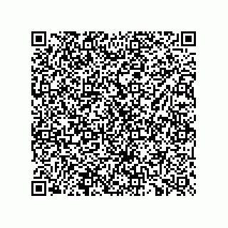 vCard 73825933815