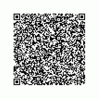 vCard 73825933821