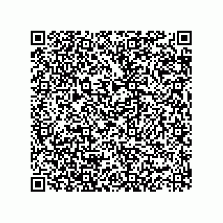 vCard 73825933873