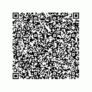 vCard 73825933881