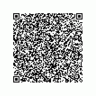vCard 73825933939