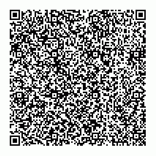 vCard 73832011629