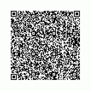 vCard 73832011729