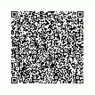 vCard 73832011903