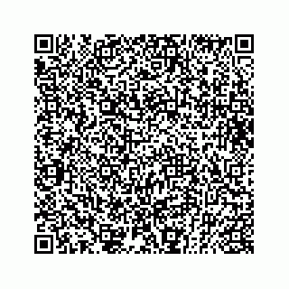 vCard 73832011904