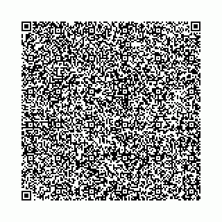 vCard 73832013303
