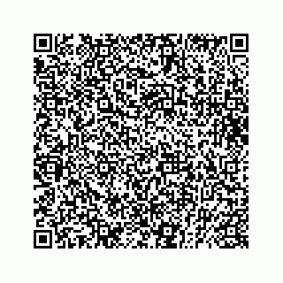 vCard 73832029000