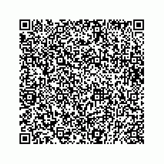 vCard 73832029004