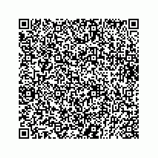 vCard 73832029005