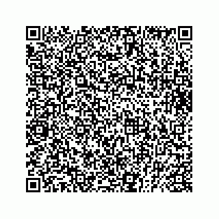 vCard 73832029007