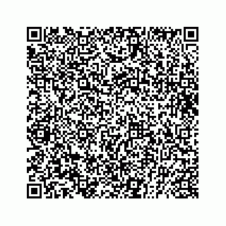 vCard 73832029008