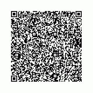 vCard 73832029033