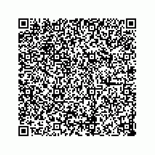 vCard 73832029041