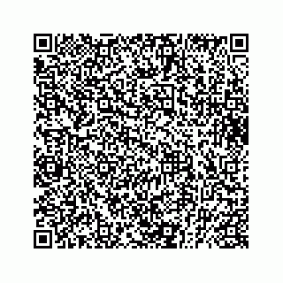 vCard 73832029063