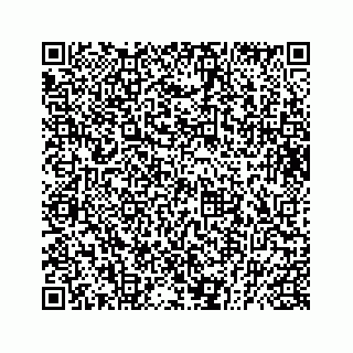 vCard 73832029066