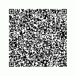 vCard 73832029100
