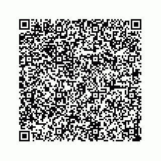 vCard 73832029130
