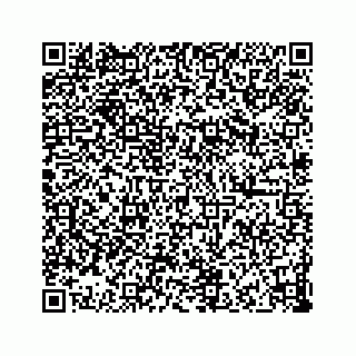 vCard 73832029131