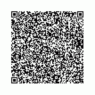 vCard 73832029132