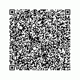 vCard 73832029133