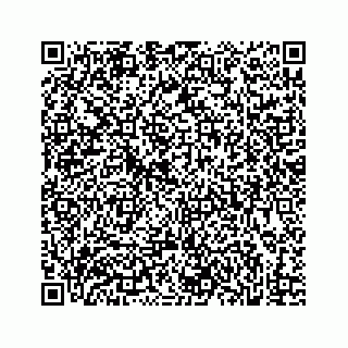 vCard 73832029138