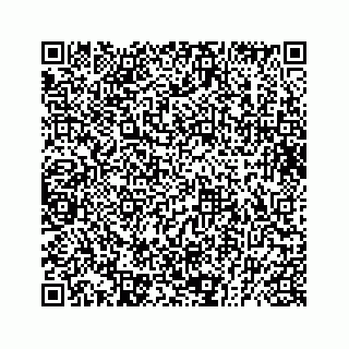 vCard 73832029151