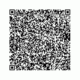 vCard 73832029153