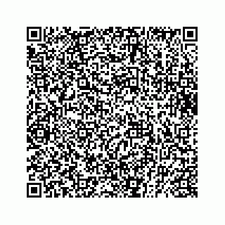vCard 73832029173