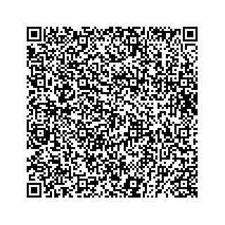 vCard 73832029199