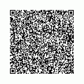 vCard 73832029204
