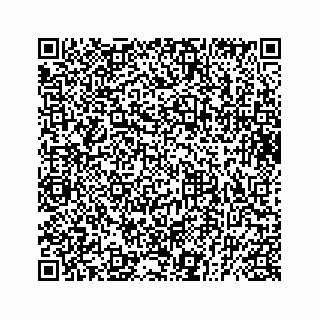 vCard 73832029213