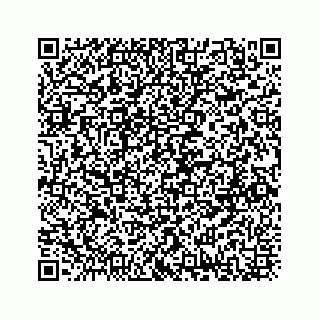 vCard 73832029249