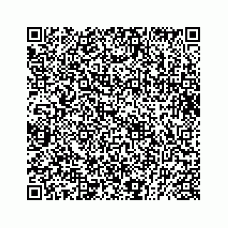 vCard 73832029251