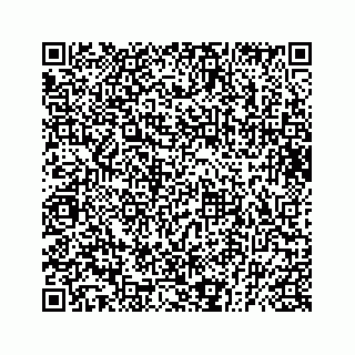 vCard 73832029252