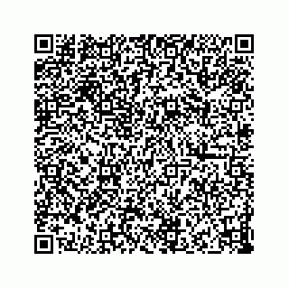 vCard 73832029271