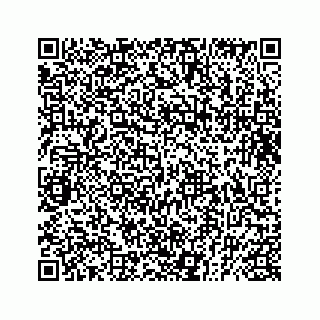 vCard 73832029299