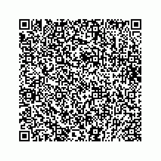 vCard 73832029300