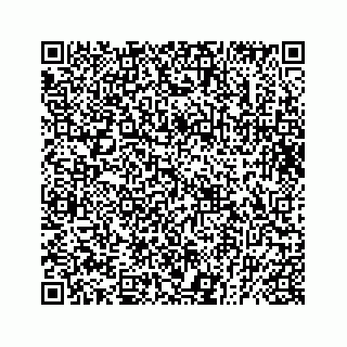 vCard 73832029309